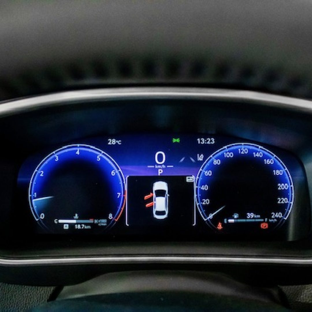 PHOTO-2025-03-11-10-29-57[2]