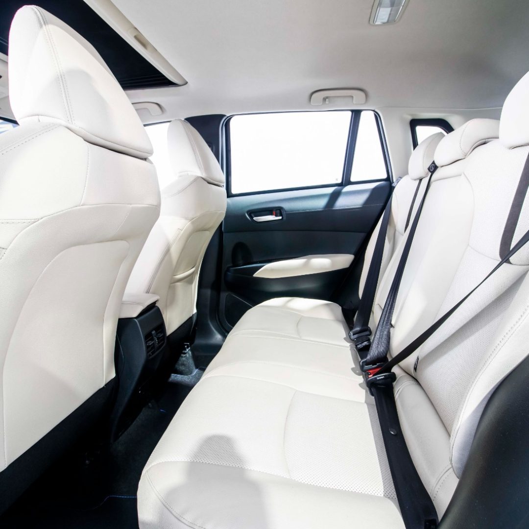 PHOTO-2025-10-07-17-21-43[1]