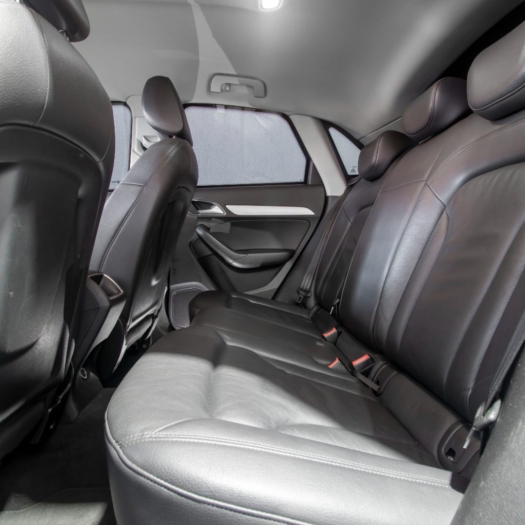 PHOTO-2026-01-19-08-49-20