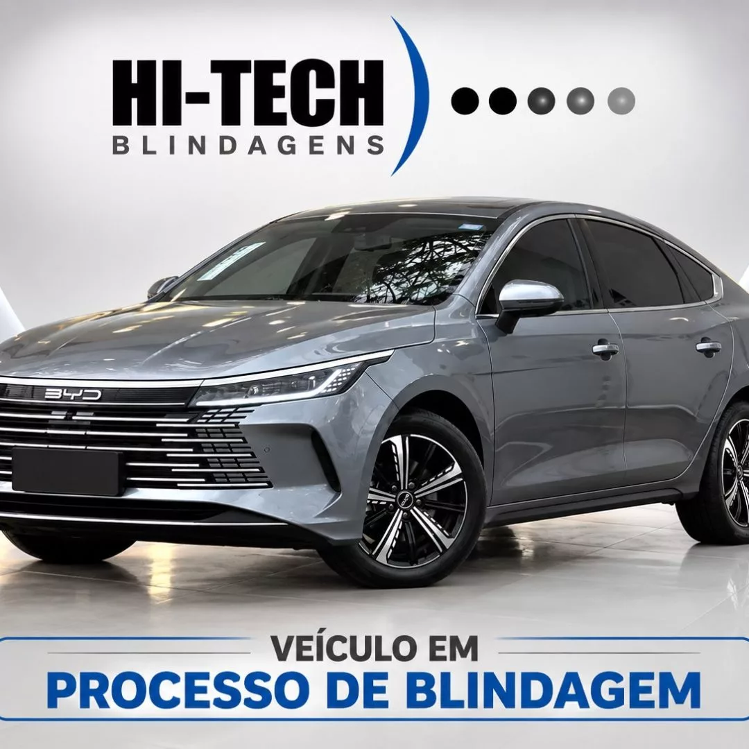 BYD_KING_2