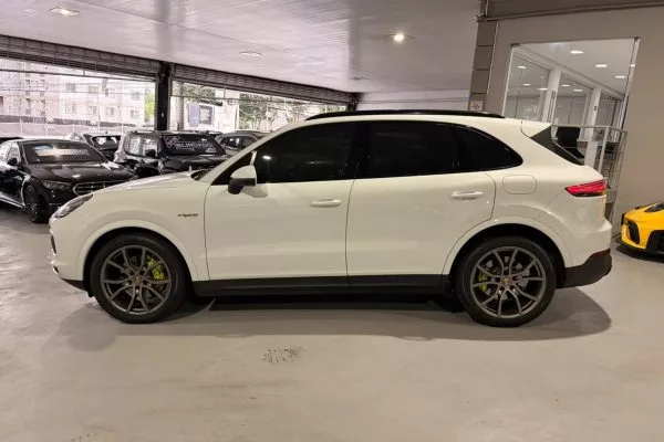 Cayenne_3
