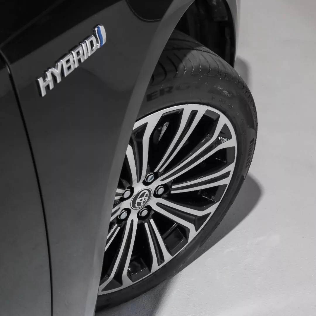 PHOTO-2025-11-07-18-37-39[3]