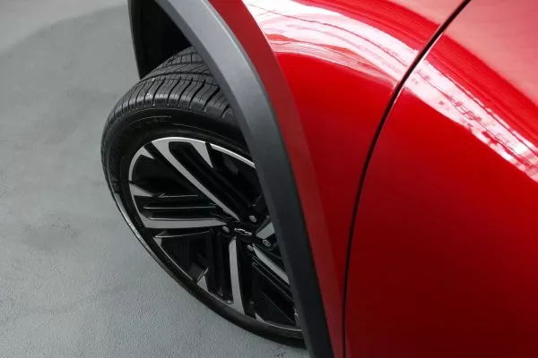 PHOTO-2025-12-02-20-46-43[3]