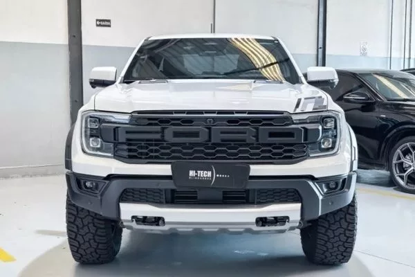 Raptor_2