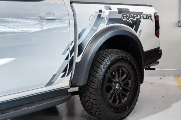 Raptor_5